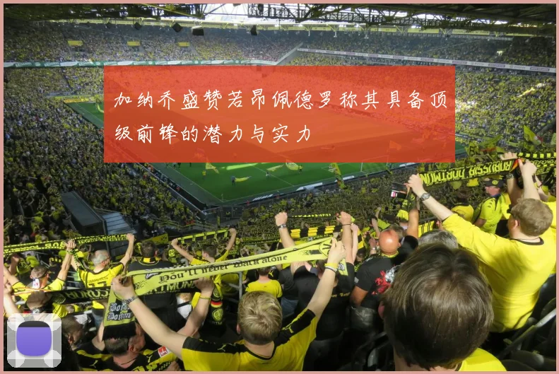 加纳乔盛赞若昂佩德罗称其具备顶级前锋的潜力与实力