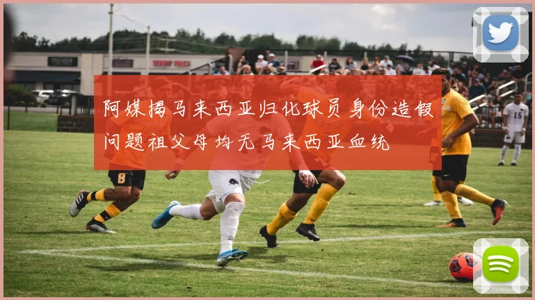 阿媒揭马来西亚归化球员身份造假问题祖父母均无马来西亚血统