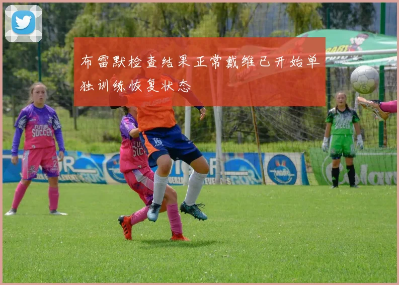 布雷默检查结果正常戴维已开始单独训练恢复状态