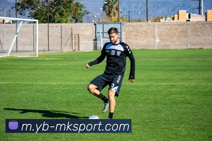 MK体育平台生态图